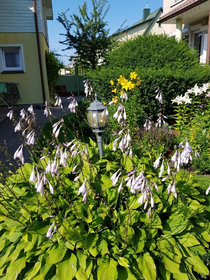 Vila Florena Garden 帕兰加 外观 照片