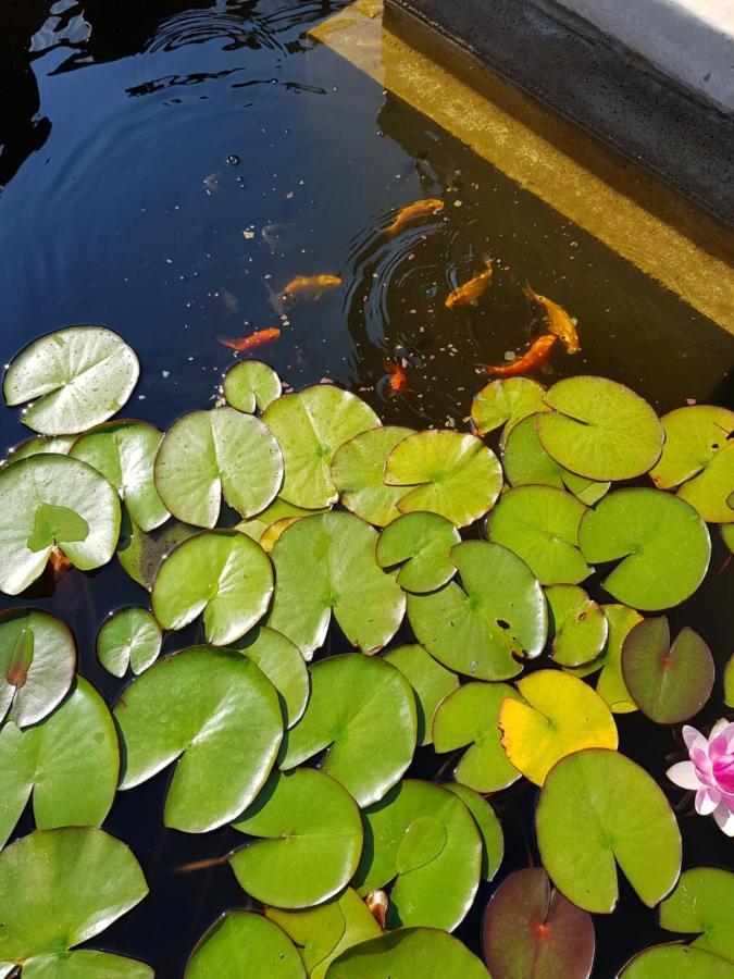Vila Florena Garden 帕兰加 外观 照片