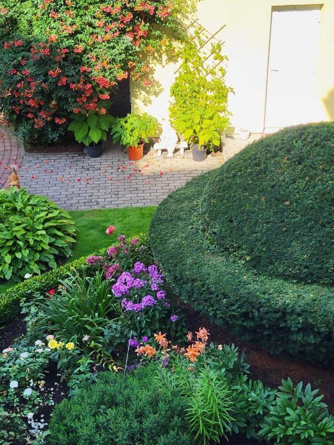 Vila Florena Garden 帕兰加 外观 照片