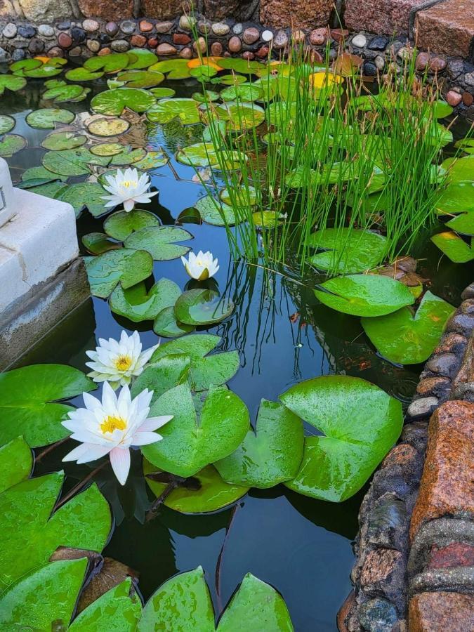Vila Florena Garden 帕兰加 外观 照片