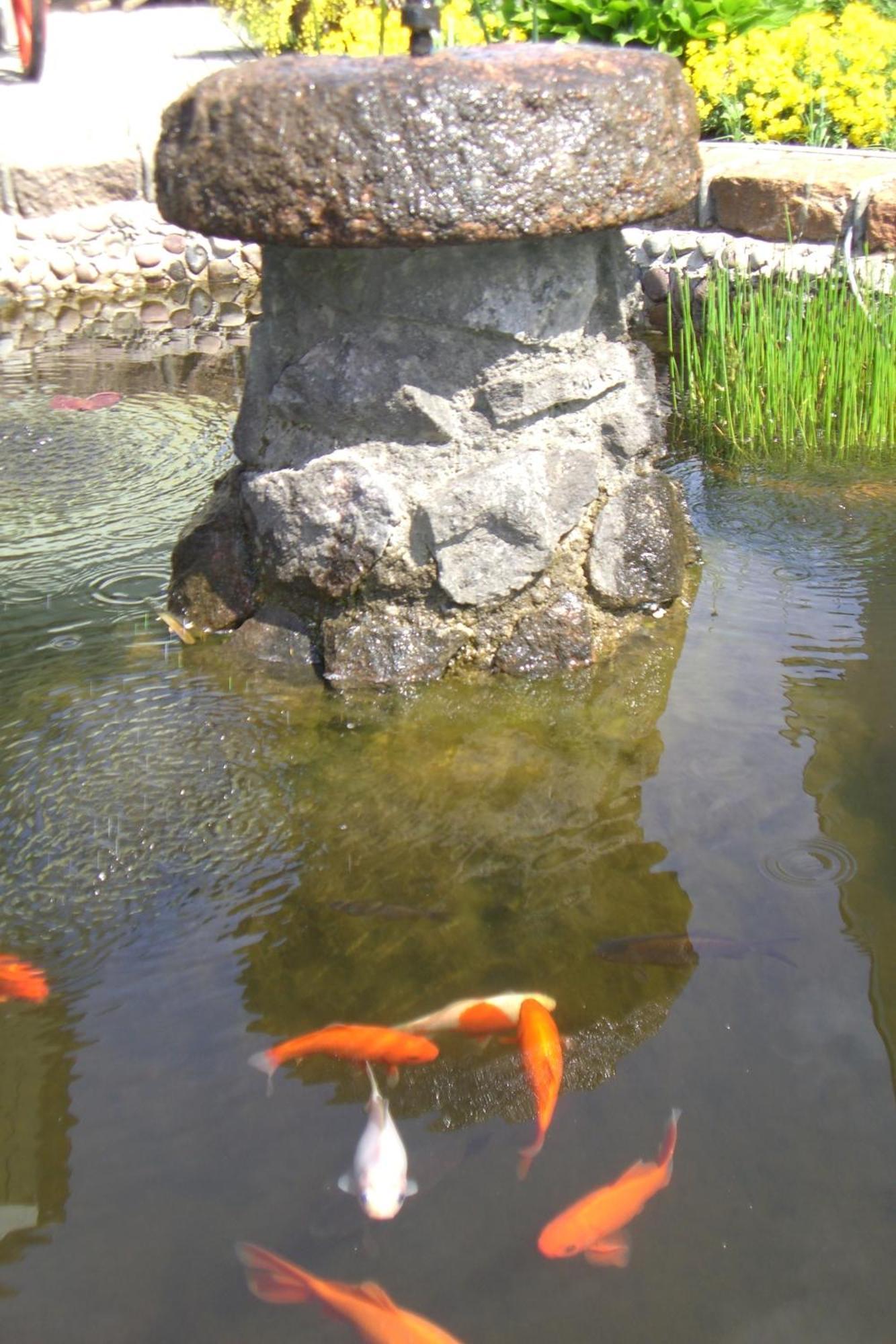 Vila Florena Garden 帕兰加 外观 照片